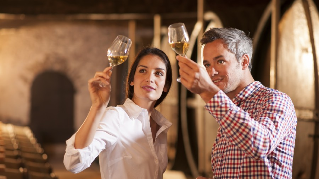 Wine Tasting Activity